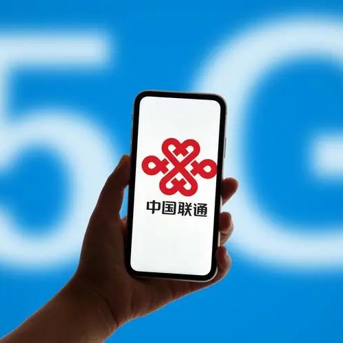 中国联合网络通信有限公司广州市分公司组织架构优化和薪酬体系咨询项目